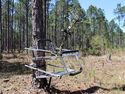 Combo hunter with bow